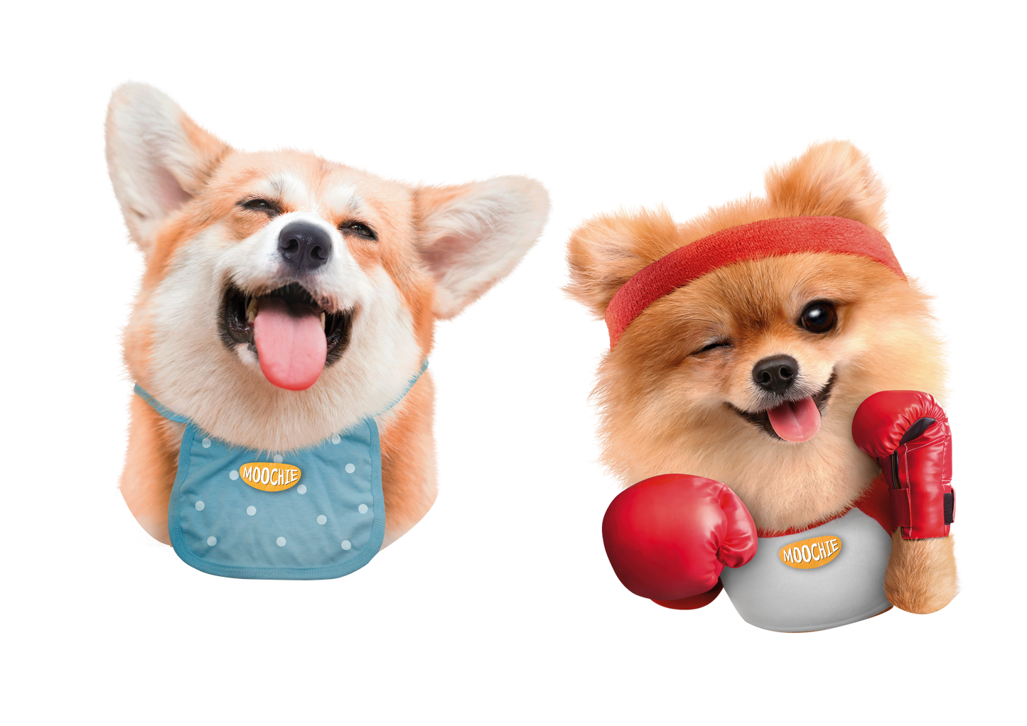 Dog-Mixed Flavors Pack