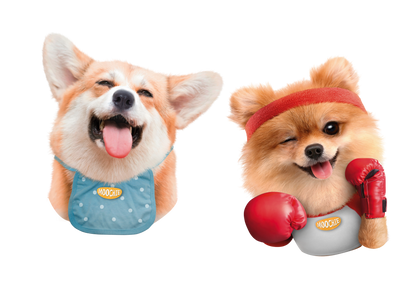 Dog-Mixed Flavors Pack